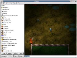 Here you can see the normal night, with a campfire. There is also the inventory list to see.